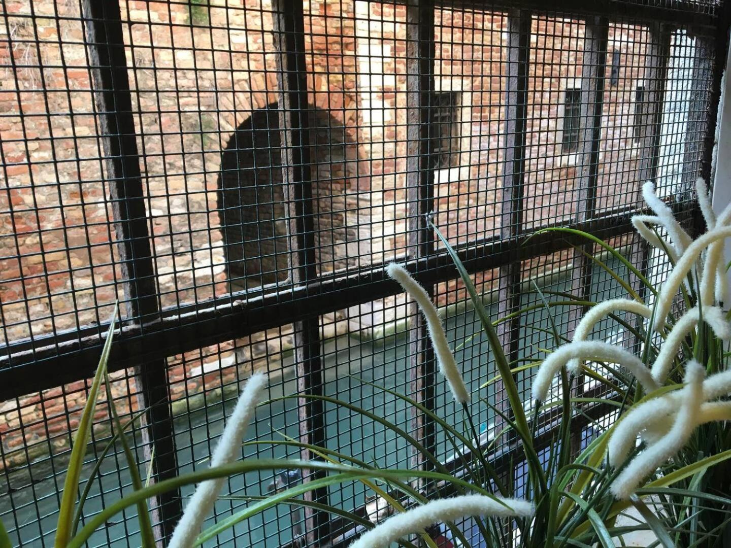 Mascherone Apartment Wenecja Zewnętrze zdjęcie